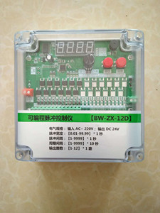 BW-ZX-12D可编程脉冲控制仪